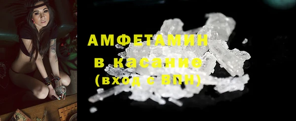 стаф Белокуриха