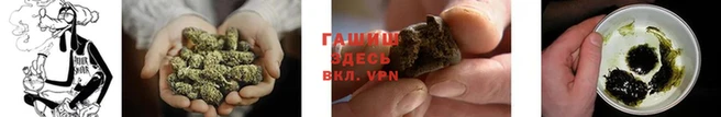 эйфоретик Беломорск