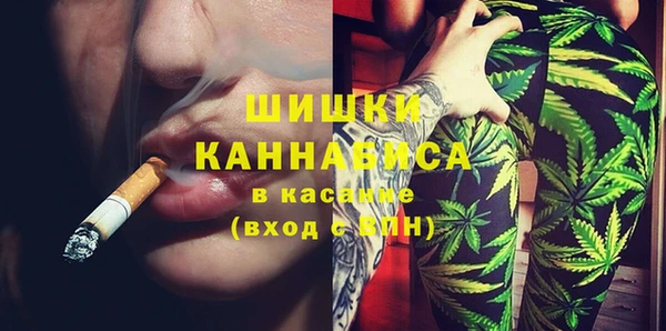 стаф Белокуриха
