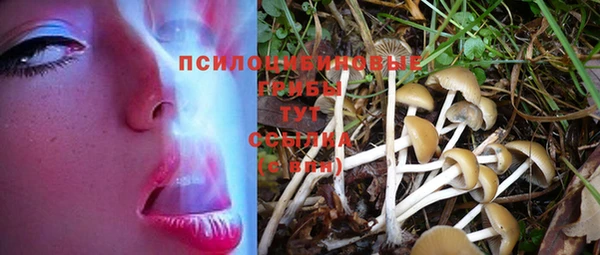 эйфоретик Беломорск