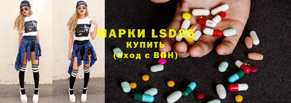 стаф Белокуриха
